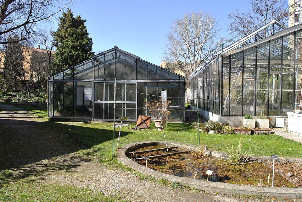 The university's botanical garden