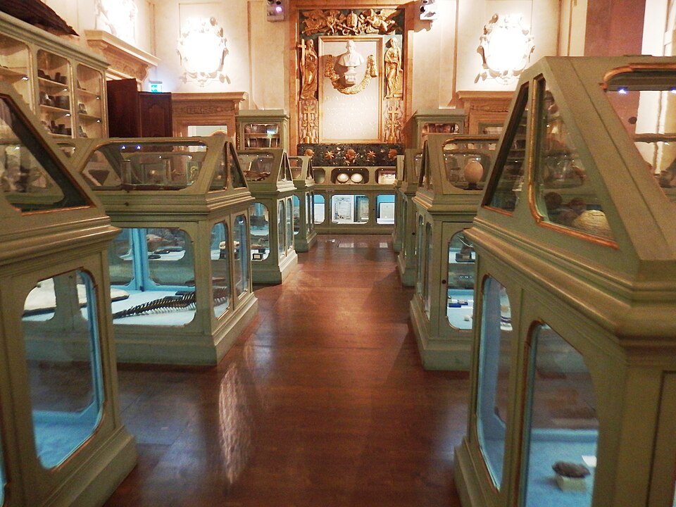 Bologna, Museo di Palazzo Poggi, Museo di Ulisse Aldrovandi